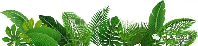 1535256123985311.png 圖片1.png