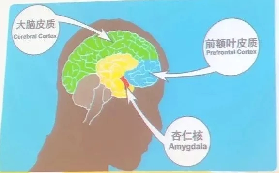 1537501874907016.jpg 640 (1).webp (3).jpg