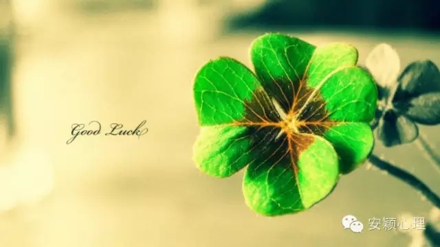 1559101602435360.jpg 640.webp (3).jpg