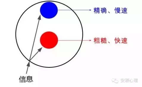 1559101629103434.jpg 640.webp (5).jpg